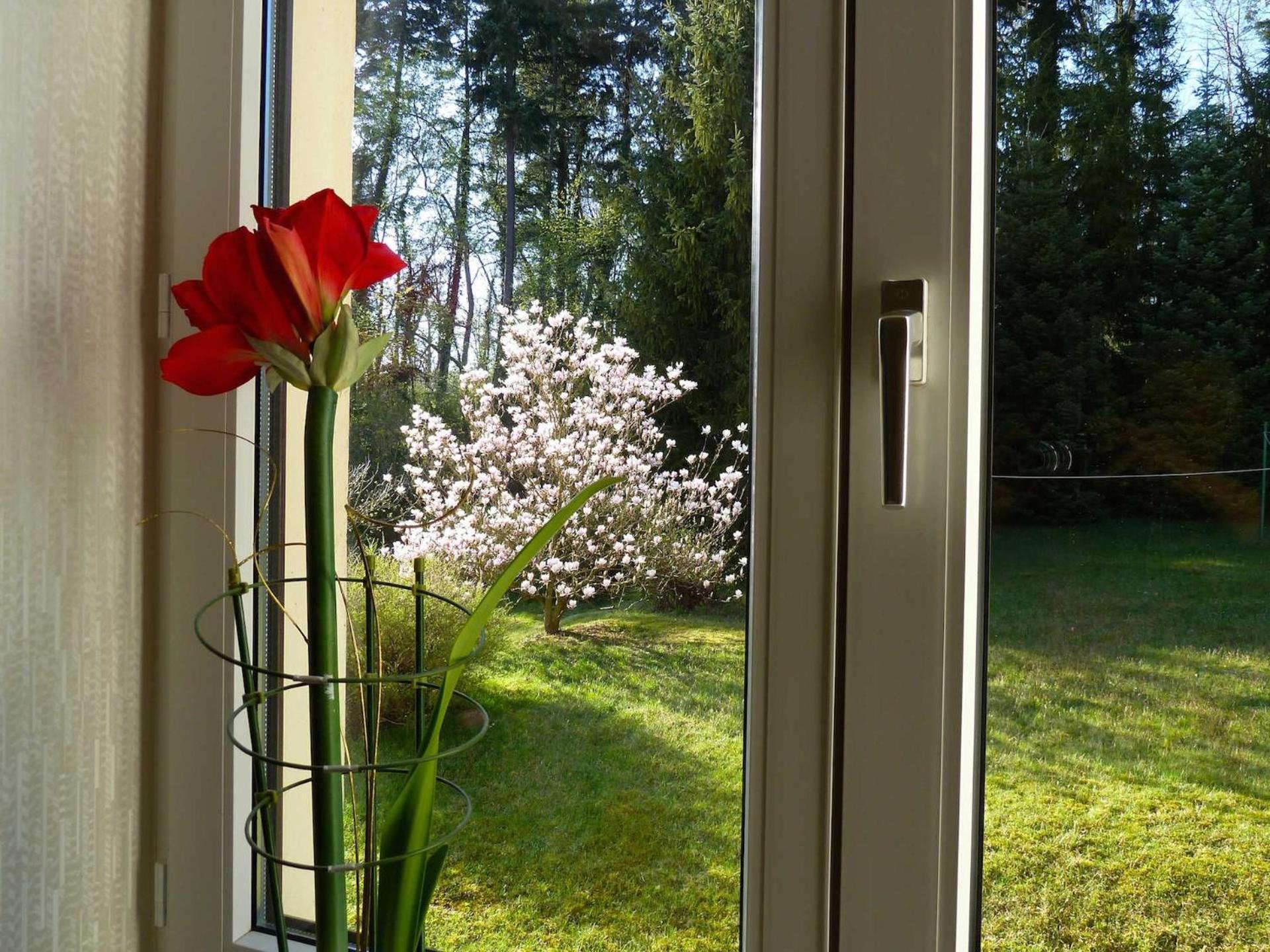 פלדברג Ferienwohnung Villa Am Haussee מראה חיצוני תמונה